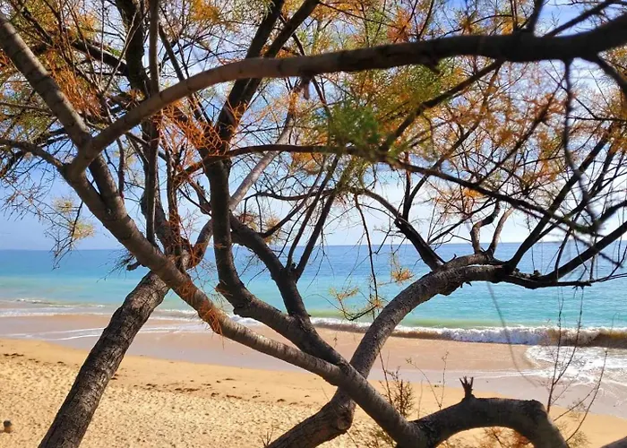 公寓 Sun & Nature Corcovada 阿尔布费拉